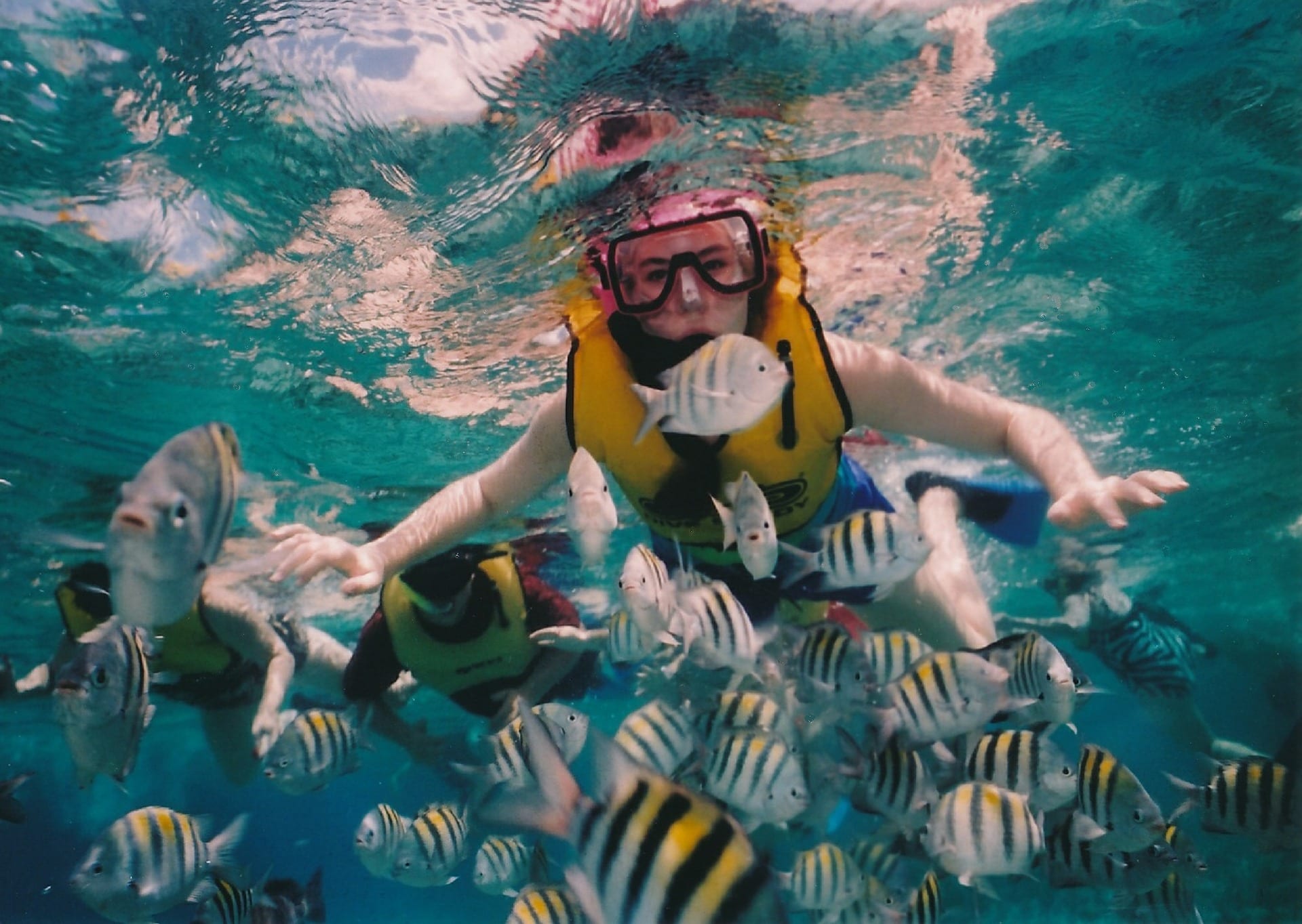 reef-snorkeling