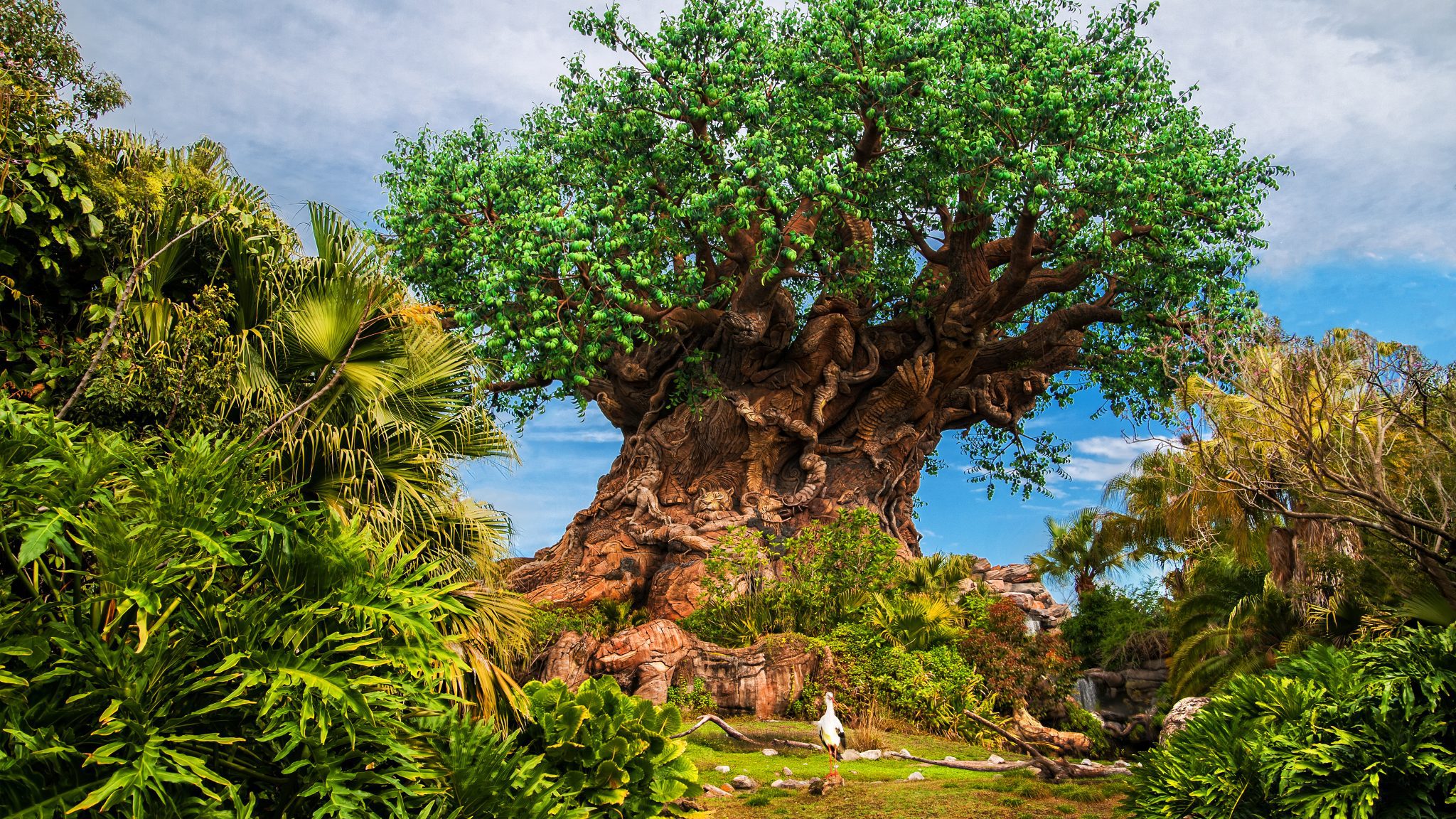 walt disney world animal kingdom - Enchanted Honeymoons