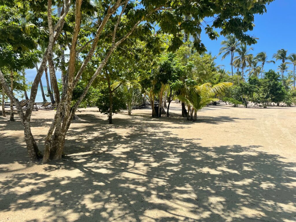 Zemi Miches Punta Cana All-Inclusive Resort